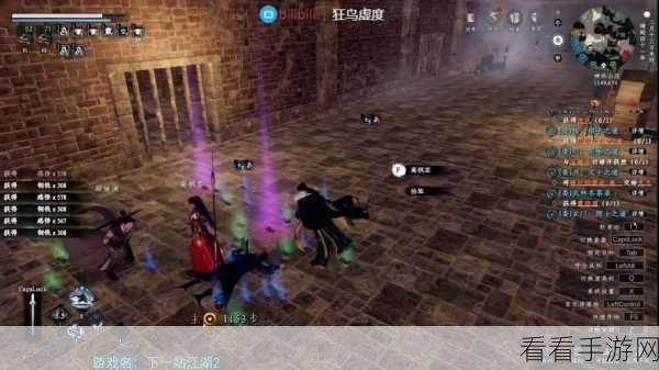下一站江湖 2 酒客之道任务通关秘籍，详尽步骤与独家技巧
