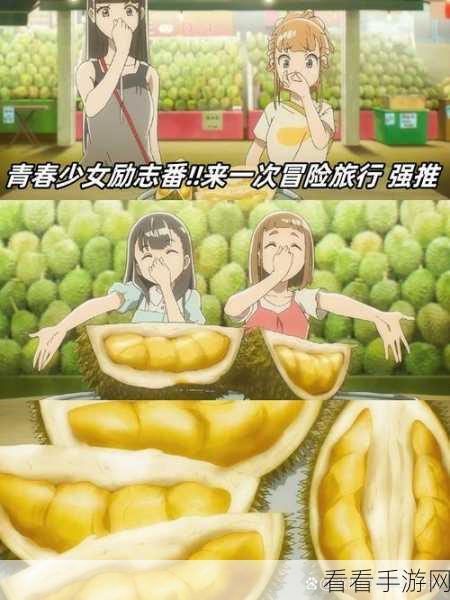探秘时光之旅，波波果实与时间之钥的奇幻追寻