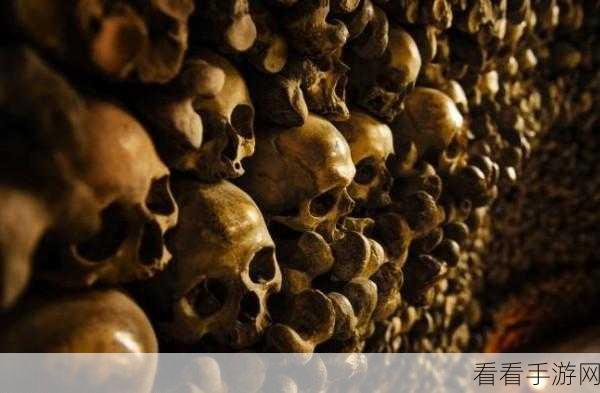 无尽寒冬医疗兵艾米强度分析：战场上的生存与救赎