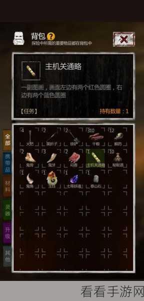 魔窟探险深度解析，后期护符搭配策略大揭秘
