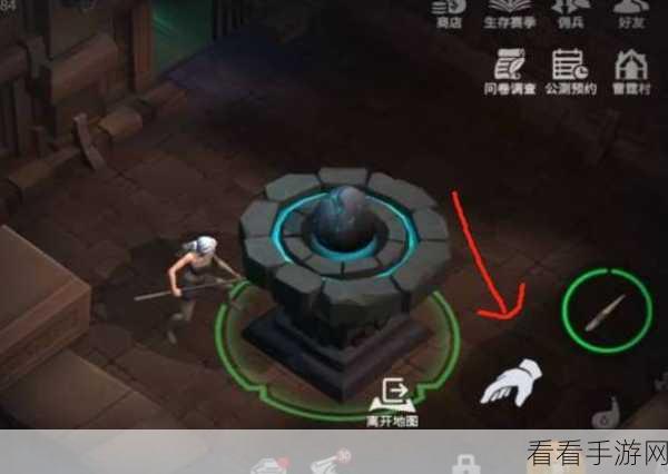 揭秘冰原守卫者，如何捕获神秘虚空龙？
