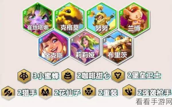 云顶之弈S6赛季深度剖析，圣盾使羁绊效果与实战策略全揭秘