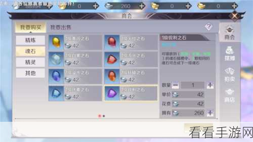 完美世界手游氪金指南，解锁超值体验的秘诀