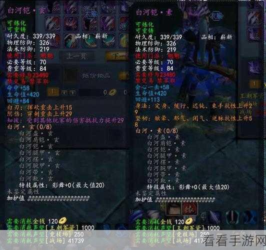 天下手游职业战场装备秘籍，80 战场套与世界套深度解析