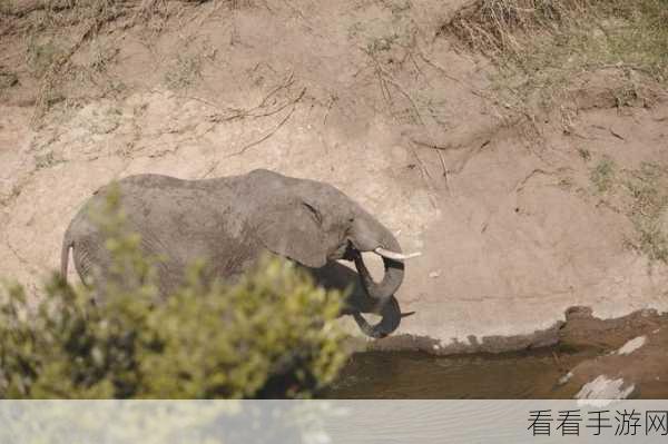DNF 点券深度探秘，解锁游戏的无限可能