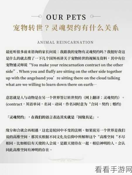 月圆之夜新资料片灵魂的契约，深入黑暗森林的奇幻冒险