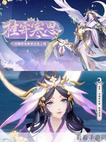 阴阳师崽战风花雪月夜皮肤全揭秘，式神专属外观与赛事亮点深度剖析