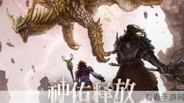 神佑释放收费全揭秘，深入剖析收费模式与流程细节