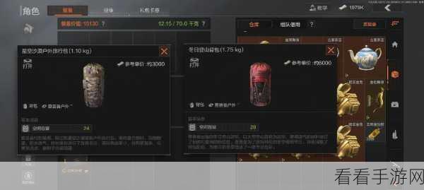 暗区突围，背包满载应对策略与实战技巧揭秘
