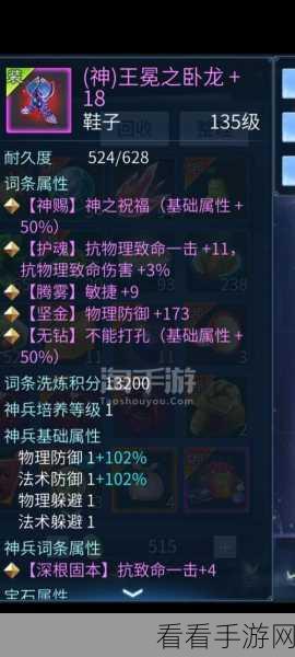 手游高手秘籍，偃师技能加点深度剖析与实战应用