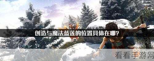手游探索盛宴，揭秘魔法世界蓝莲刷新地点与采集攻略