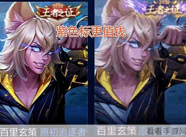 深度剖析，夏洛特伴生皮究竟是否值得入手？