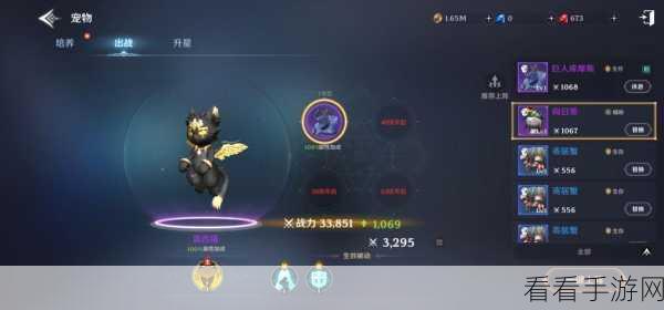 手游无神之界高手进阶攻略，解锁顶级玩法，称霸幻想大陆