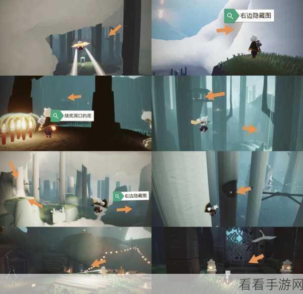 光遇雨林，通关秘籍大揭秘