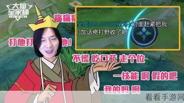 王者荣耀，张大仙表情包口令码深度解析与实战运用