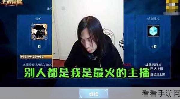 王者荣耀，张大仙表情包口令码深度解析与实战运用