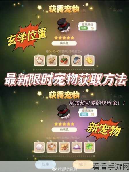 奥比岛手游，奥比广场神秘宠物大揭秘