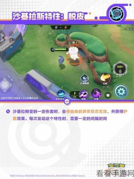 宝可梦大集结，内存配置深度探秘与实战技巧