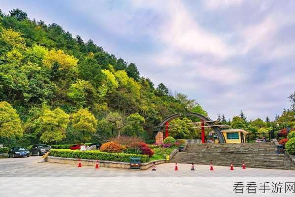 探秘天龙八部手游江陵古城，领略绝美风光与赛事激情