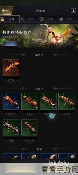 小小蚁国深度体验报告，新手玩家一个月的感悟与心得