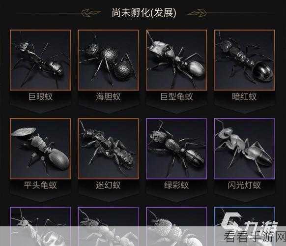小小蚁国深度体验报告，新手玩家一个月的感悟与心得