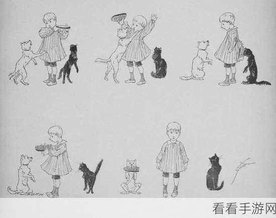 揭秘猫博物馆第六关绝妙通关技巧，解锁隐藏机关，速通攻略大放送