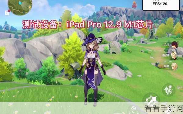 原神净觉花解密成就攻略，稳占优势的绝佳策略