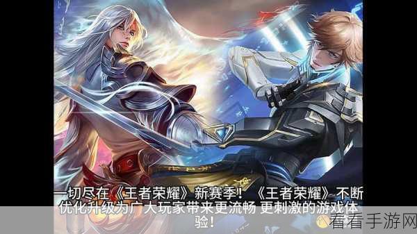 王者荣耀深度攻略，宫本武藏半肉铭文搭配，战士荣耀与生存艺术的巅峰演绎