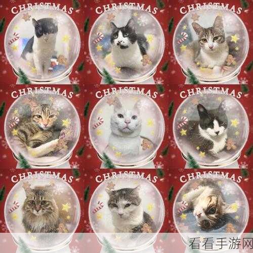 圣诞狂欢！Cats Soup×史努比联动无氪金攻略大揭秘