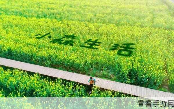 小森生活全植物刷新攻略，掌握战斗节奏，提升实战效率