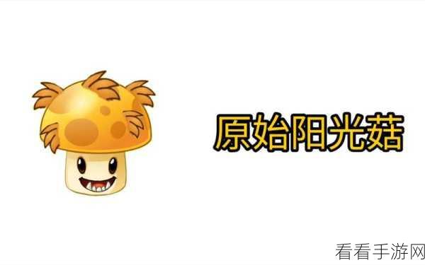 阳光菇在植物大战僵尸中的阳光生产效率，极速还是蜗牛速大揭秘？