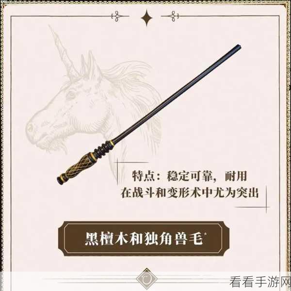 哈利波特魔法觉醒，揭秘预约魔杖的奇妙用途及分院与魔杖的深层关联