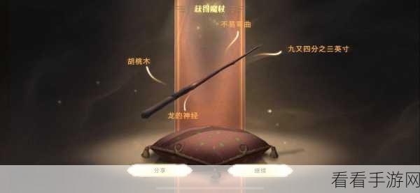哈利波特魔法觉醒，揭秘预约魔杖的奇妙用途及分院与魔杖的深层关联
