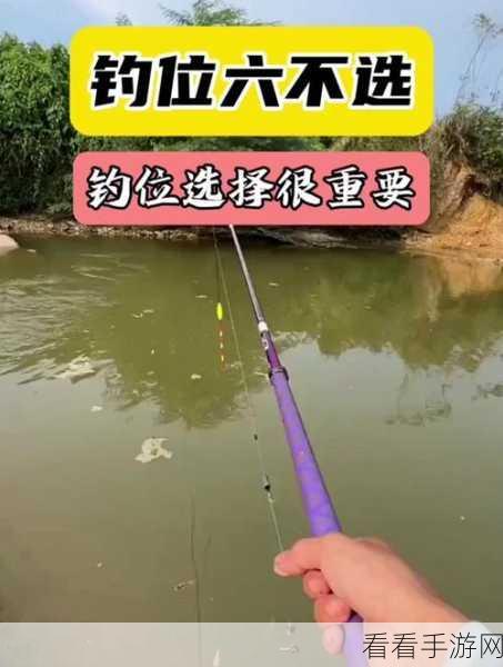 钓鱼佬的海洋净化之旅，主殿升级终极攻略与要点大全