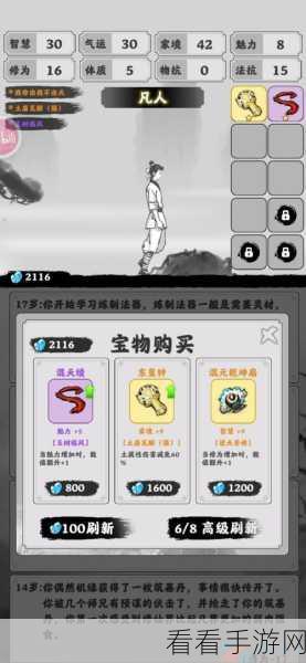 渡劫模拟器深度攻略，掌握通关秘籍与实战技巧，助你称霸修仙界