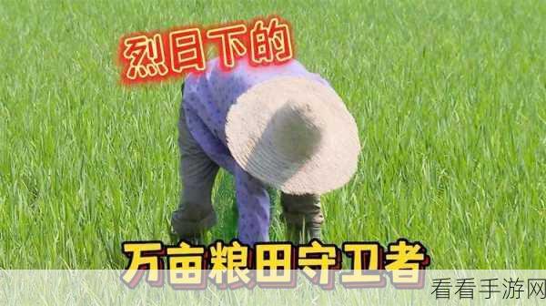 深度解析这城有良田，铁卫角色强度大比拼，谁才是战场上的真正守护者？