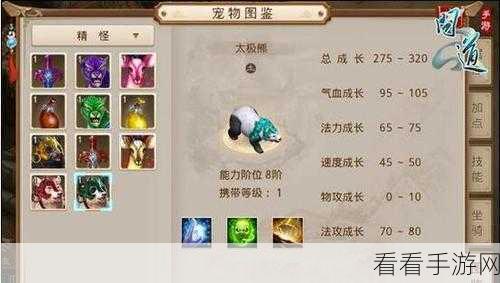 问道手游抽坐骑秘籍大公开，攻略详解与实战视频直击