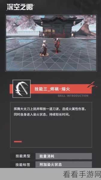 深空之眼，揭秘龙切专属武器的传奇持有者