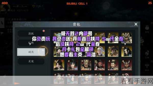 极无双2极无双2的阵容篇攻略