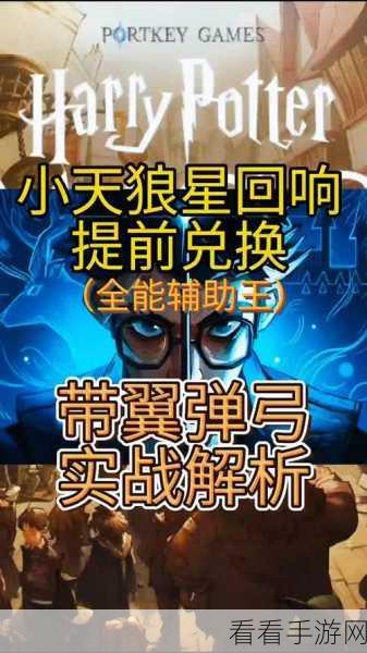 哈利波特手游深度揭秘，小天狼星回响实战效果全剖析