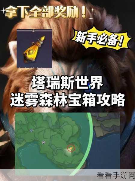 塔瑞斯世界测试服攻略征集，赢 Q 币成为远征引路人！