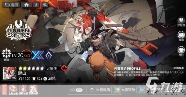 白夜极光，丹棠登场，火队崛起新助力