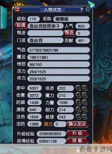 梦幻西游新区杀环秘籍，盘丝玩法大揭秘