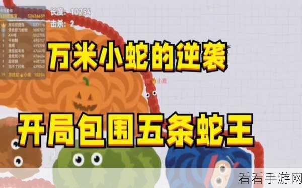 贪吃蛇破万米赛道秘籍，资深玩家的致胜心得