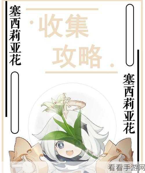 原神深度攻略，塞西莉亚花圃副本解锁全揭秘，图文详解助你轻松通关