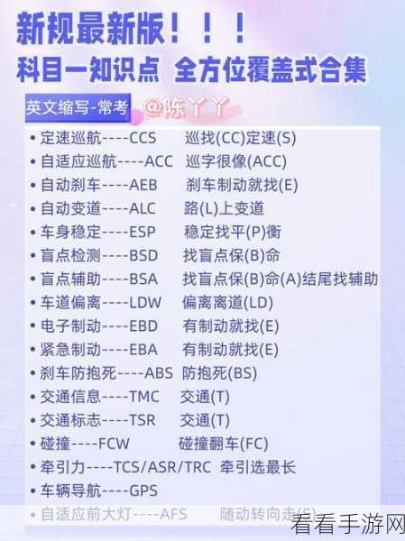 大武道新手必备，全方位保姆级指南