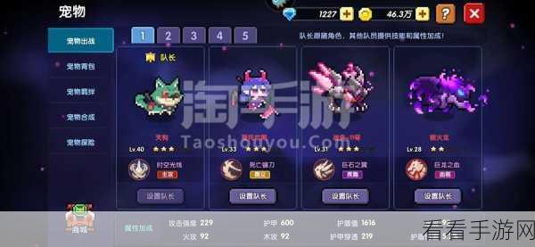 手游新手指南,种地勇者氪金攻略大揭秘