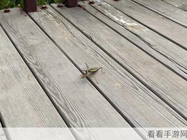 蚂蚱称霸峡谷，克制与反制秘籍，助你黑马冲分