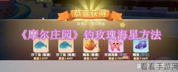 摩尔庄园浪漫探索，揭秘玫瑰海星神秘位置与获取攻略