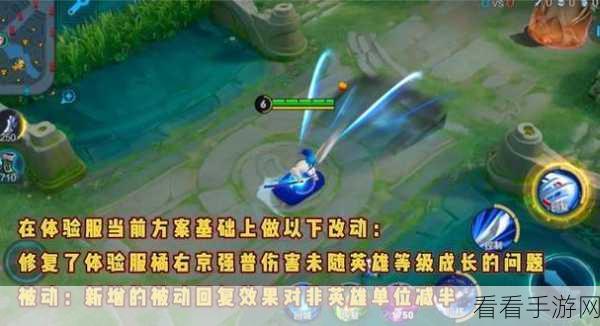 兰陵王体验服再调整，技能变动引发玩家热议